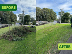 Before and after image of garden waste pile taking up lawn space in Wollongong, now removed and clutter free.